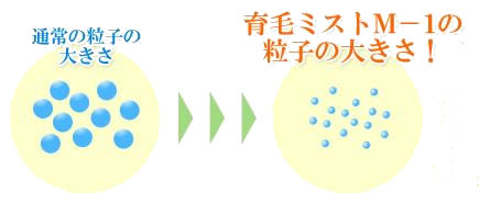 qs[O̐